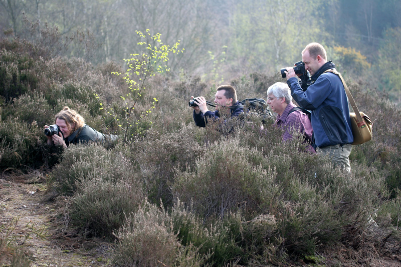 reptile photography training